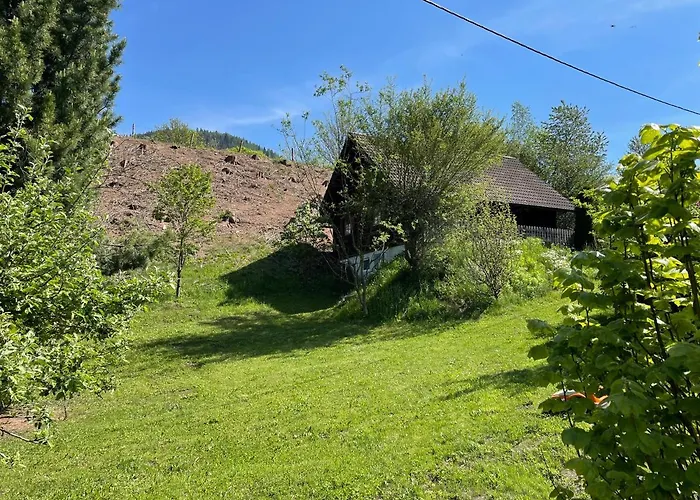 Vakantiehuis Ferienhuette Bosic